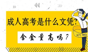 2021年成人高考哪些專業對口公務員考試呢？