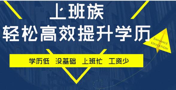參加2021年河北成考都有哪些專業可以選擇呢？